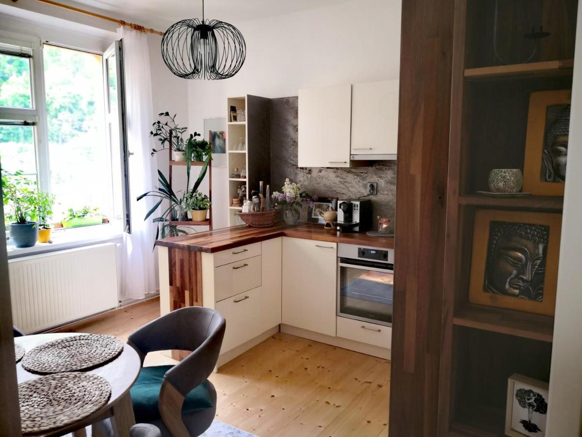 Apartmany Ivana ジェチーン エクステリア 写真